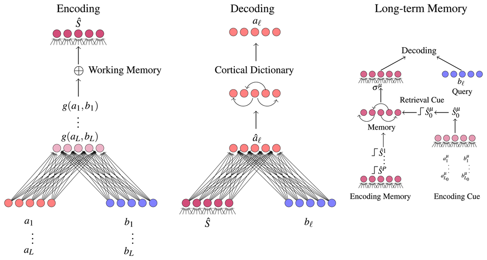Three-panel schematic of the Dictionary network: encoding role–filler pairs into a single working-memory vector by vector-symbolic binding, decoding a filler from a query via a learned cortical dictionary, and storing and retrieving structures from long-term associative memory.